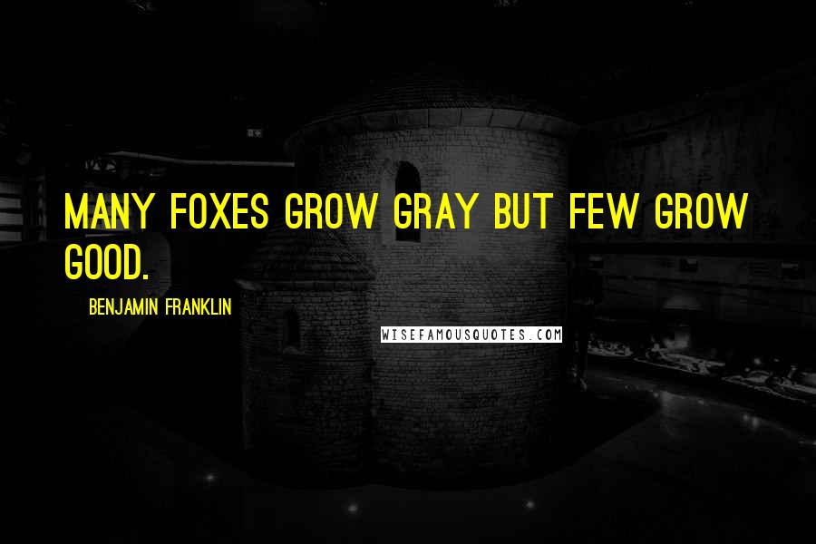 Benjamin Franklin Quotes: Many foxes grow gray but few grow good.