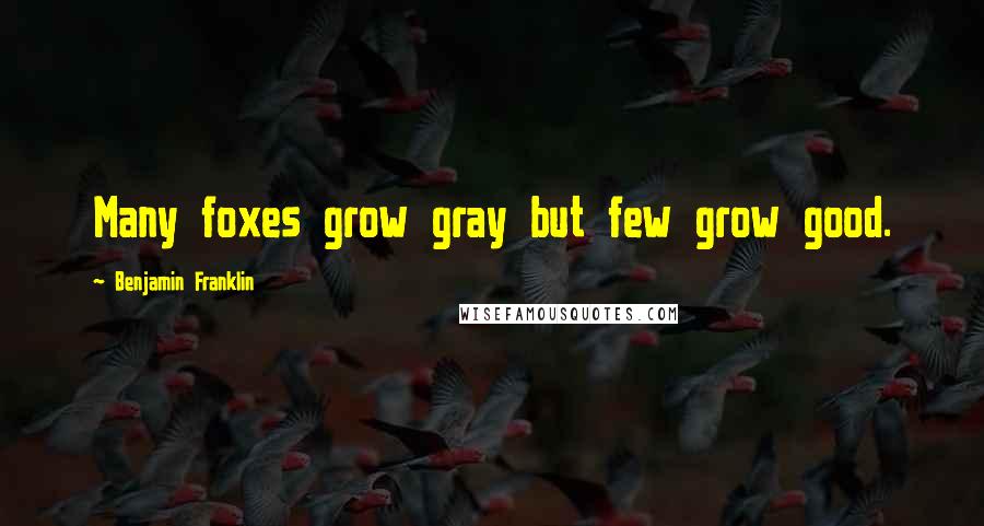 Benjamin Franklin Quotes: Many foxes grow gray but few grow good.