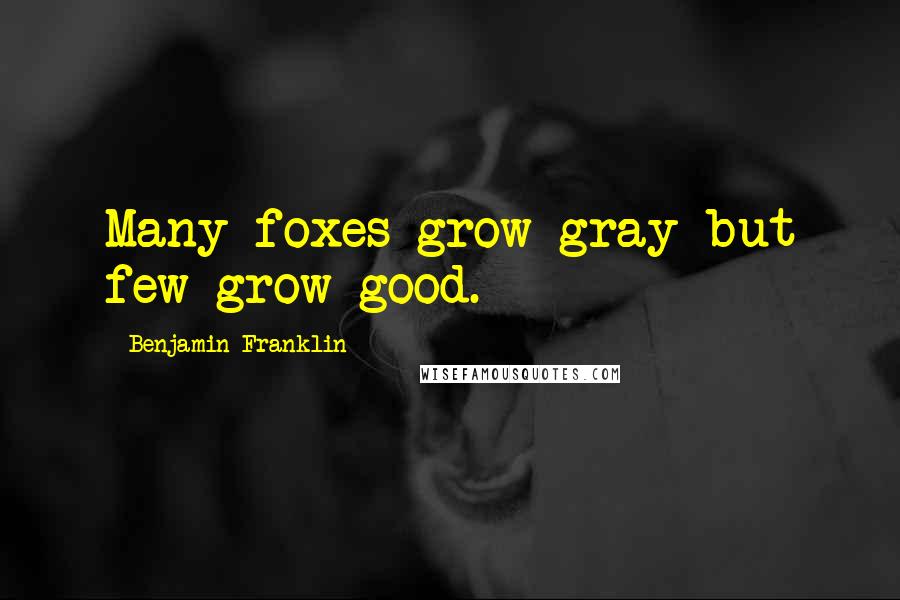 Benjamin Franklin Quotes: Many foxes grow gray but few grow good.