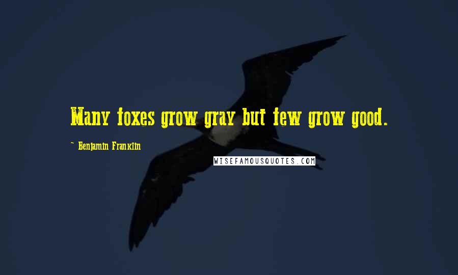 Benjamin Franklin Quotes: Many foxes grow gray but few grow good.