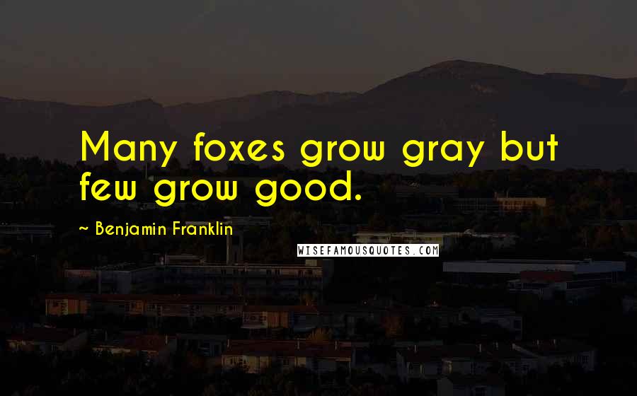 Benjamin Franklin Quotes: Many foxes grow gray but few grow good.