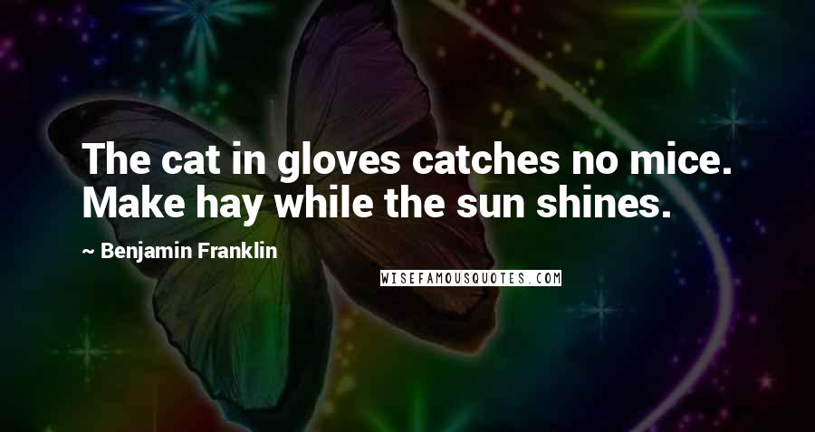 Benjamin Franklin Quotes: The cat in gloves catches no mice. Make hay while the sun shines.