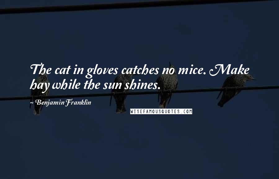 Benjamin Franklin Quotes: The cat in gloves catches no mice. Make hay while the sun shines.