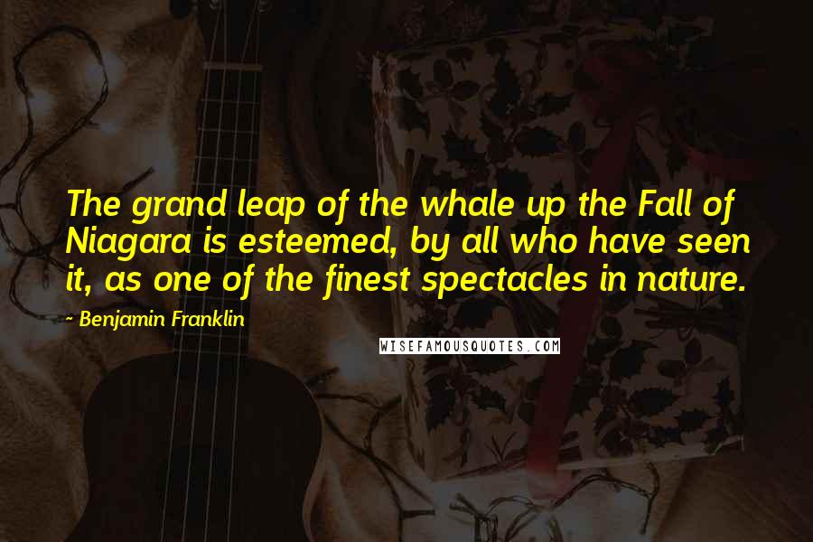 Benjamin Franklin Quotes: The grand leap of the whale up the Fall of Niagara is esteemed, by all who have seen it, as one of the finest spectacles in nature.
