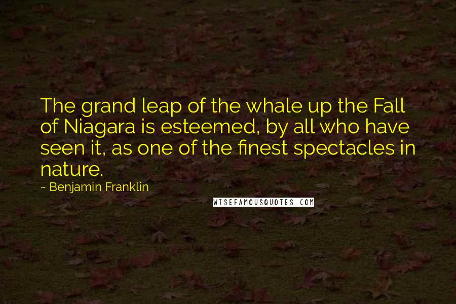 Benjamin Franklin Quotes: The grand leap of the whale up the Fall of Niagara is esteemed, by all who have seen it, as one of the finest spectacles in nature.