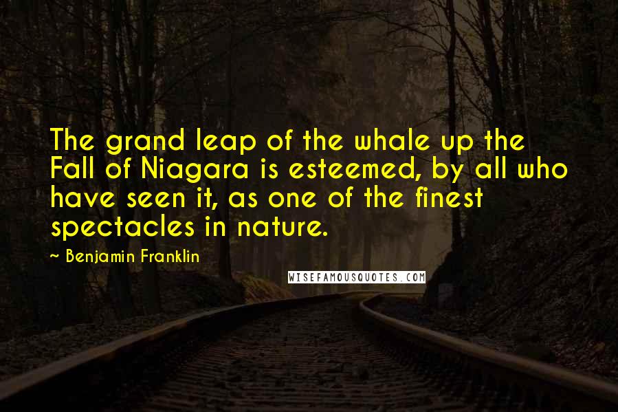 Benjamin Franklin Quotes: The grand leap of the whale up the Fall of Niagara is esteemed, by all who have seen it, as one of the finest spectacles in nature.