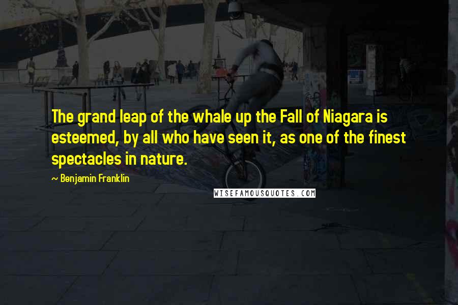 Benjamin Franklin Quotes: The grand leap of the whale up the Fall of Niagara is esteemed, by all who have seen it, as one of the finest spectacles in nature.
