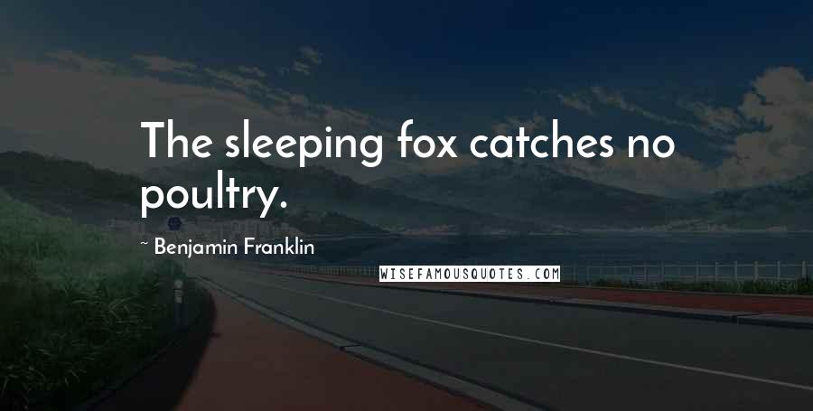 Benjamin Franklin Quotes: The sleeping fox catches no poultry.