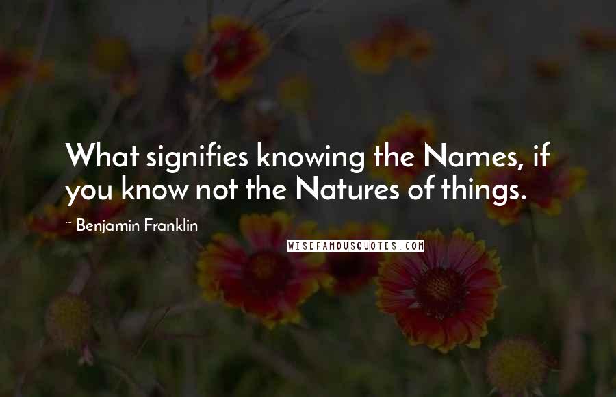 Benjamin Franklin Quotes: What signifies knowing the Names, if you know not the Natures of things.