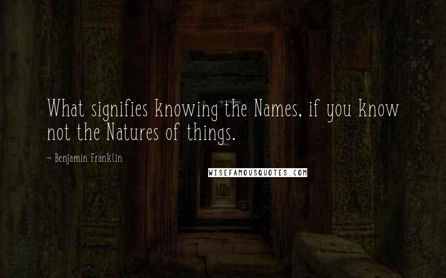 Benjamin Franklin Quotes: What signifies knowing the Names, if you know not the Natures of things.