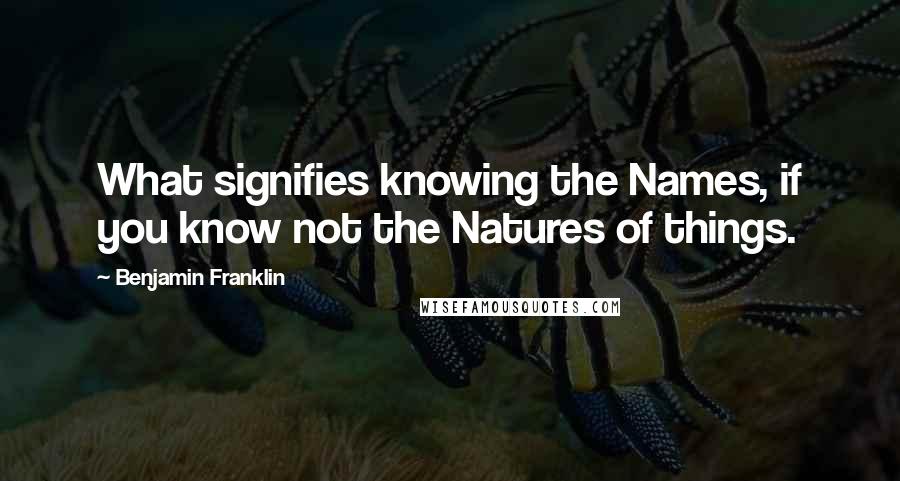 Benjamin Franklin Quotes: What signifies knowing the Names, if you know not the Natures of things.