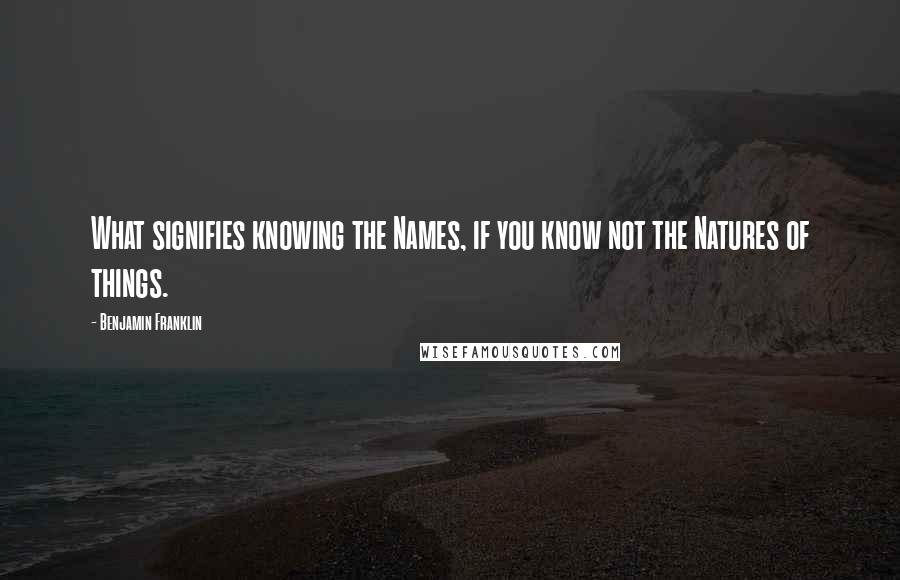 Benjamin Franklin Quotes: What signifies knowing the Names, if you know not the Natures of things.