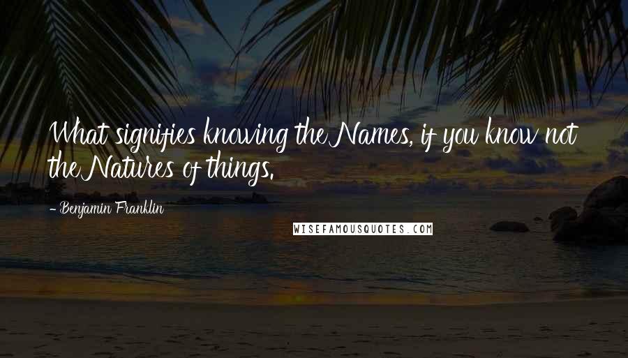 Benjamin Franklin Quotes: What signifies knowing the Names, if you know not the Natures of things.