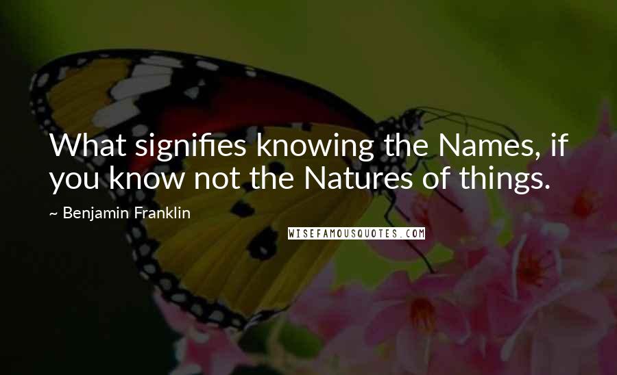 Benjamin Franklin Quotes: What signifies knowing the Names, if you know not the Natures of things.