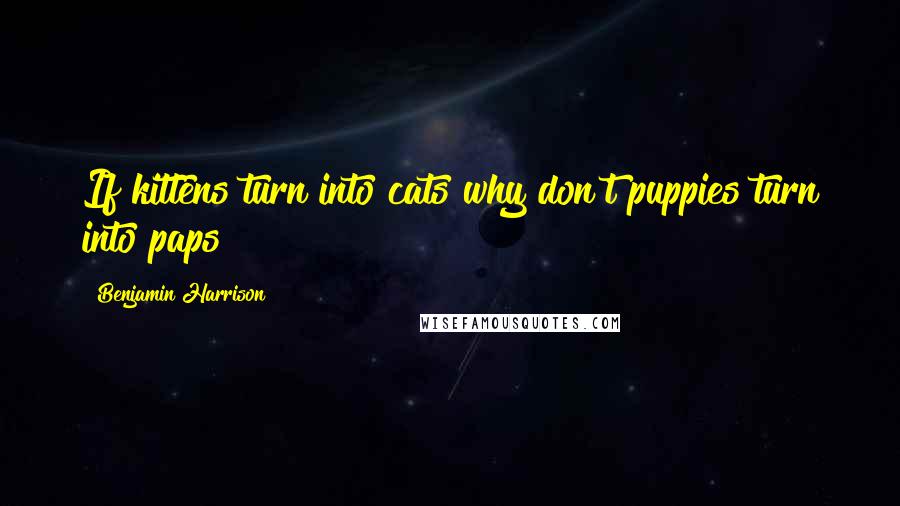 Benjamin Harrison Quotes: If kittens turn into cats why don't puppies turn into paps?