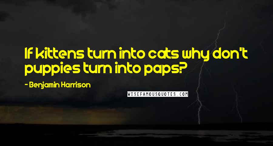 Benjamin Harrison Quotes: If kittens turn into cats why don't puppies turn into paps?