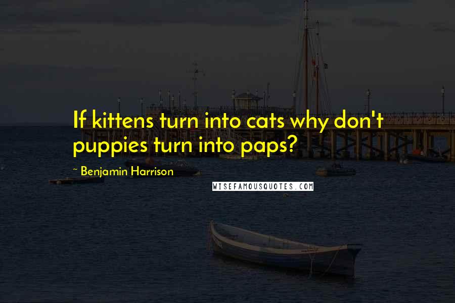 Benjamin Harrison Quotes: If kittens turn into cats why don't puppies turn into paps?