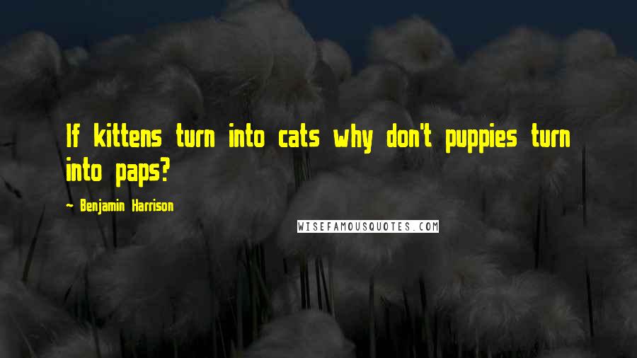 Benjamin Harrison Quotes: If kittens turn into cats why don't puppies turn into paps?