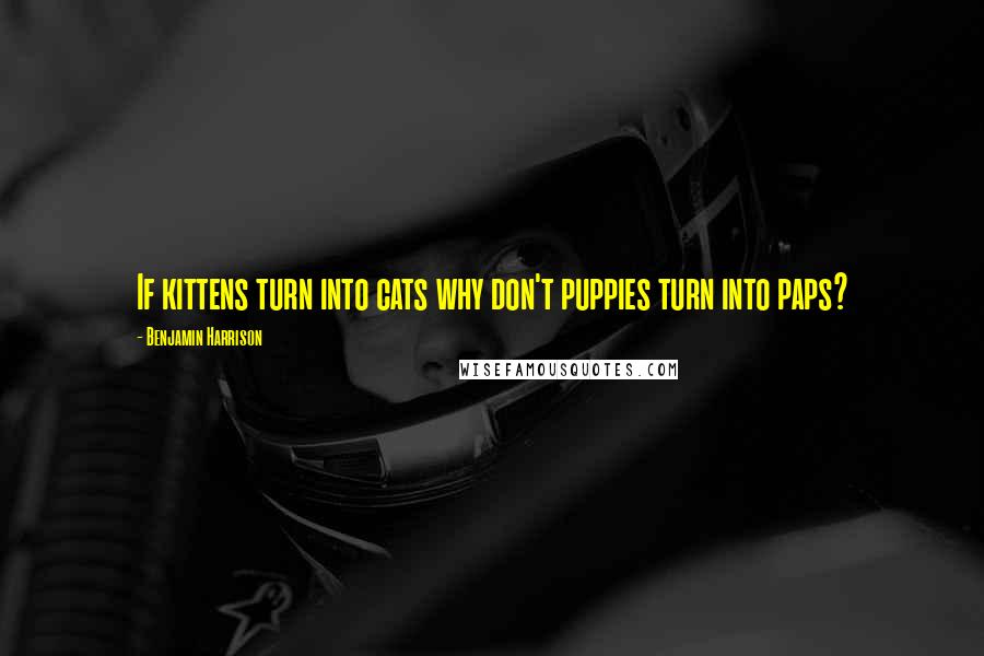 Benjamin Harrison Quotes: If kittens turn into cats why don't puppies turn into paps?