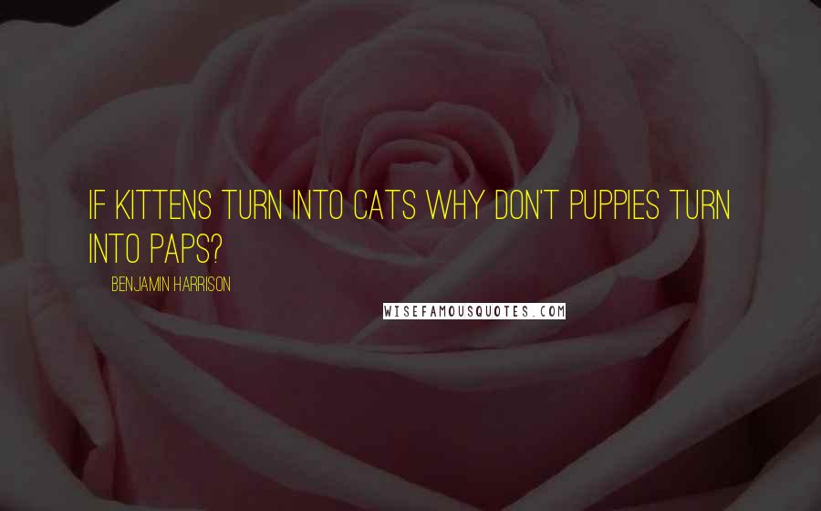 Benjamin Harrison Quotes: If kittens turn into cats why don't puppies turn into paps?