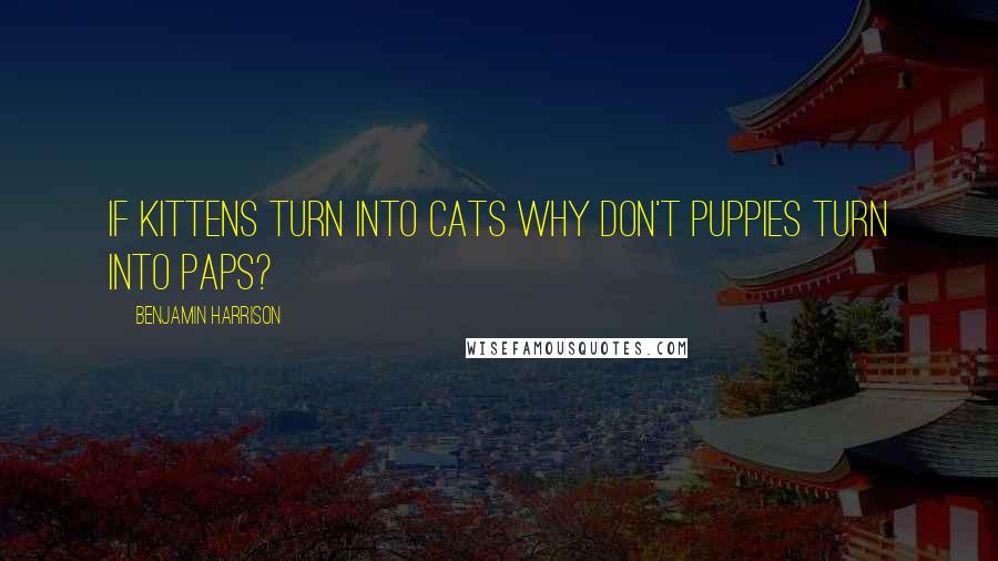 Benjamin Harrison Quotes: If kittens turn into cats why don't puppies turn into paps?