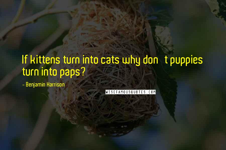 Benjamin Harrison Quotes: If kittens turn into cats why don't puppies turn into paps?