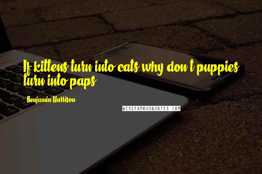 Benjamin Harrison Quotes: If kittens turn into cats why don't puppies turn into paps?