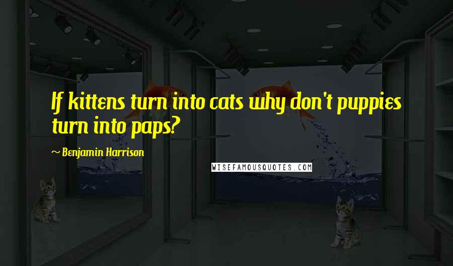 Benjamin Harrison Quotes: If kittens turn into cats why don't puppies turn into paps?