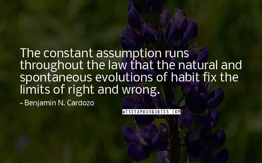 Benjamin N. Cardozo Quotes: The constant assumption runs throughout the law that the natural and spontaneous evolutions of habit fix the limits of right and wrong.