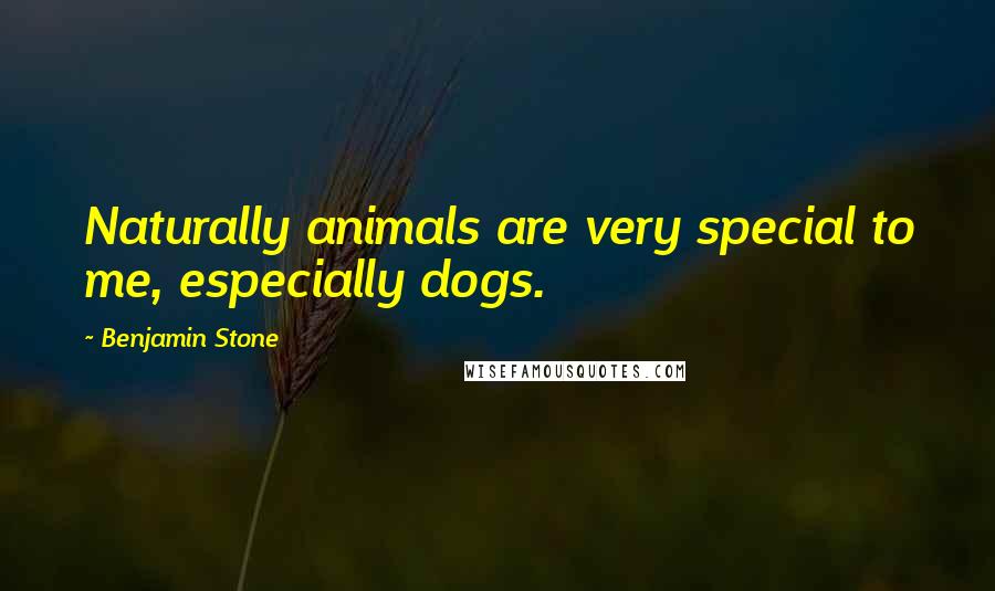 Benjamin Stone Quotes: Naturally animals are very special to me, especially dogs.