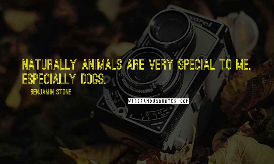 Benjamin Stone Quotes: Naturally animals are very special to me, especially dogs.