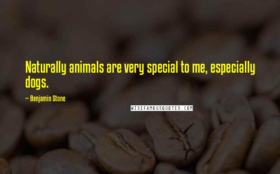 Benjamin Stone Quotes: Naturally animals are very special to me, especially dogs.