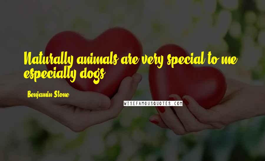 Benjamin Stone Quotes: Naturally animals are very special to me, especially dogs.