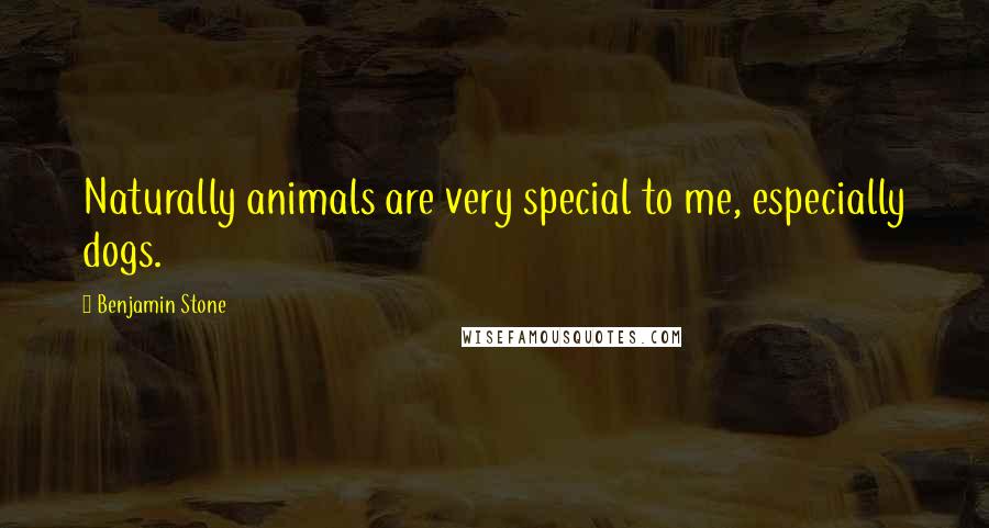 Benjamin Stone Quotes: Naturally animals are very special to me, especially dogs.