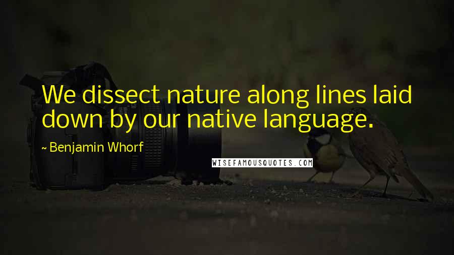 Benjamin Whorf Quotes: We dissect nature along lines laid down by our native language.