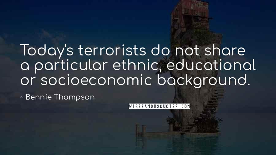 Bennie Thompson Quotes: Today's terrorists do not share a particular ethnic, educational or socioeconomic background.