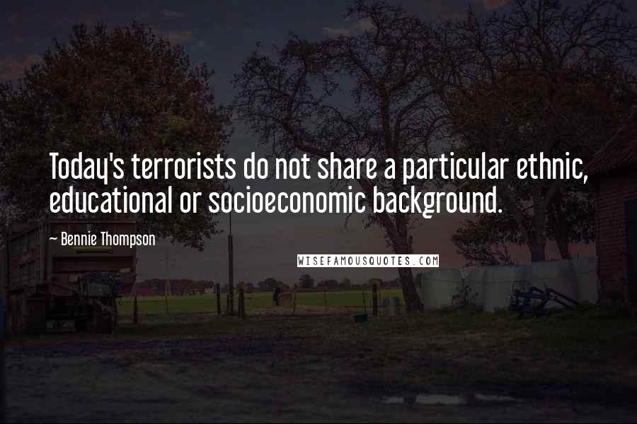 Bennie Thompson Quotes: Today's terrorists do not share a particular ethnic, educational or socioeconomic background.