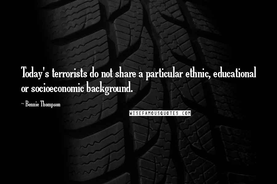 Bennie Thompson Quotes: Today's terrorists do not share a particular ethnic, educational or socioeconomic background.