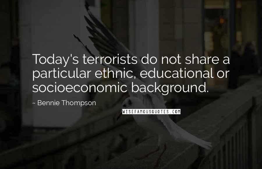 Bennie Thompson Quotes: Today's terrorists do not share a particular ethnic, educational or socioeconomic background.