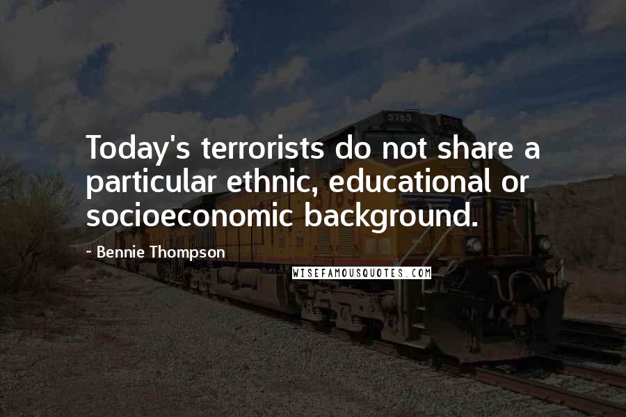 Bennie Thompson Quotes: Today's terrorists do not share a particular ethnic, educational or socioeconomic background.