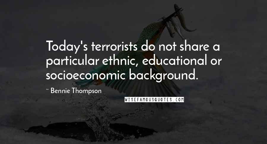 Bennie Thompson Quotes: Today's terrorists do not share a particular ethnic, educational or socioeconomic background.