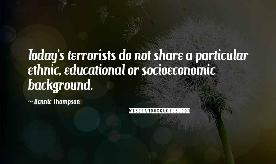 Bennie Thompson Quotes: Today's terrorists do not share a particular ethnic, educational or socioeconomic background.