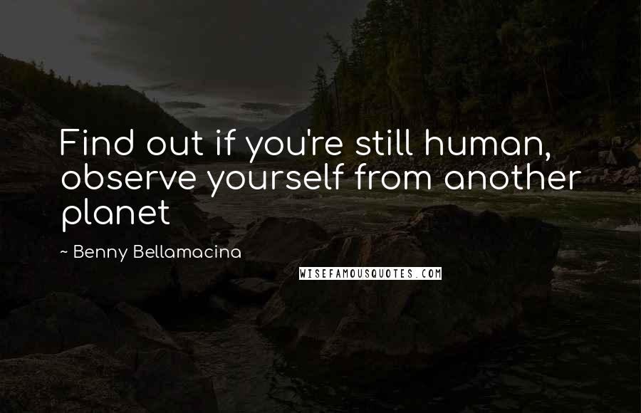 Benny Bellamacina Quotes: Find out if you're still human, observe yourself from another planet