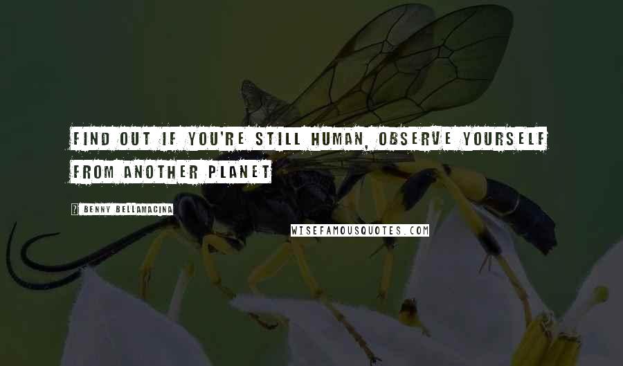 Benny Bellamacina Quotes: Find out if you're still human, observe yourself from another planet