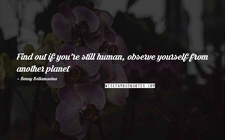 Benny Bellamacina Quotes: Find out if you're still human, observe yourself from another planet