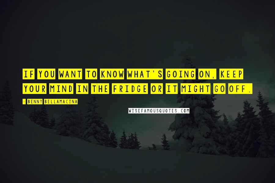 Benny Bellamacina Quotes: If you want to know what's going on, keep your mind in the fridge or it might go off.