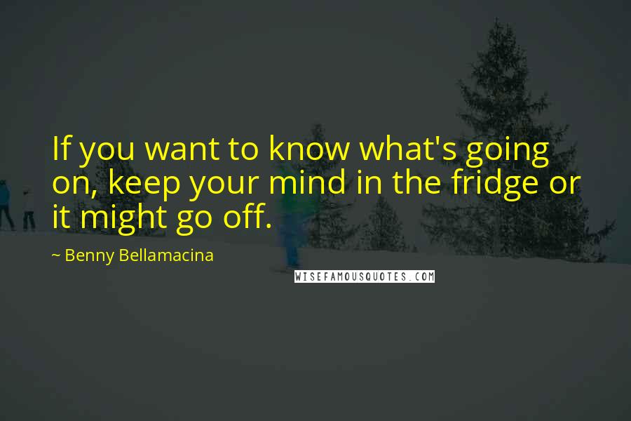 Benny Bellamacina Quotes: If you want to know what's going on, keep your mind in the fridge or it might go off.