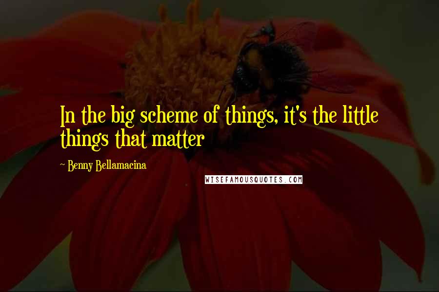 Benny Bellamacina Quotes: In the big scheme of things, it's the little things that matter