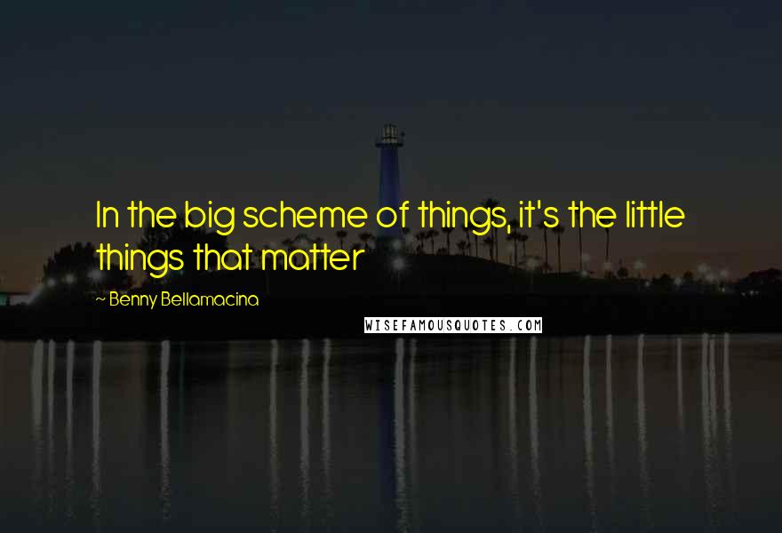 Benny Bellamacina Quotes: In the big scheme of things, it's the little things that matter