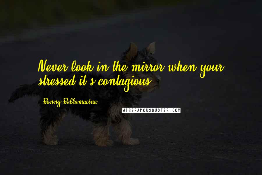 Benny Bellamacina Quotes: Never look in the mirror when your stressed it's contagious